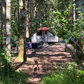 Review photo of Ike Kinswa State Park Campground by Patti C., July 5, 2022