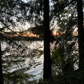 Review photo of Ike Kinswa State Park Campground by Patti C., July 5, 2022
