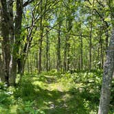 Review photo of Schoolcraft State Park Campground by Betty H., July 3, 2022