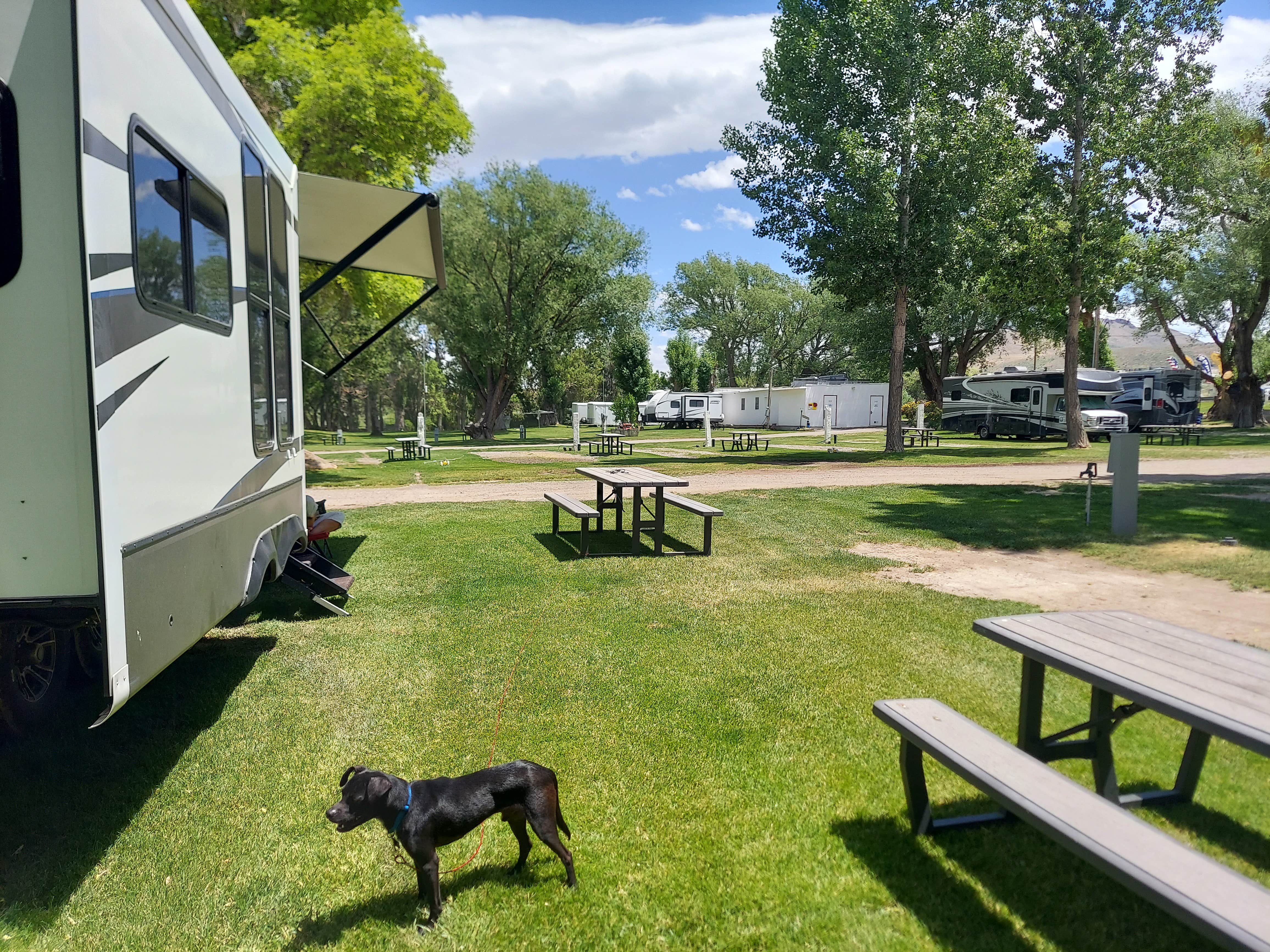 Coddiwompling F.'s photo of rv camping at Welcome Station RV Park near Elko, NV