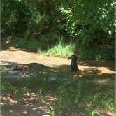 Review photo of Central Campground — Chickasaw National Recreation Area by Randi B., July 17, 2018