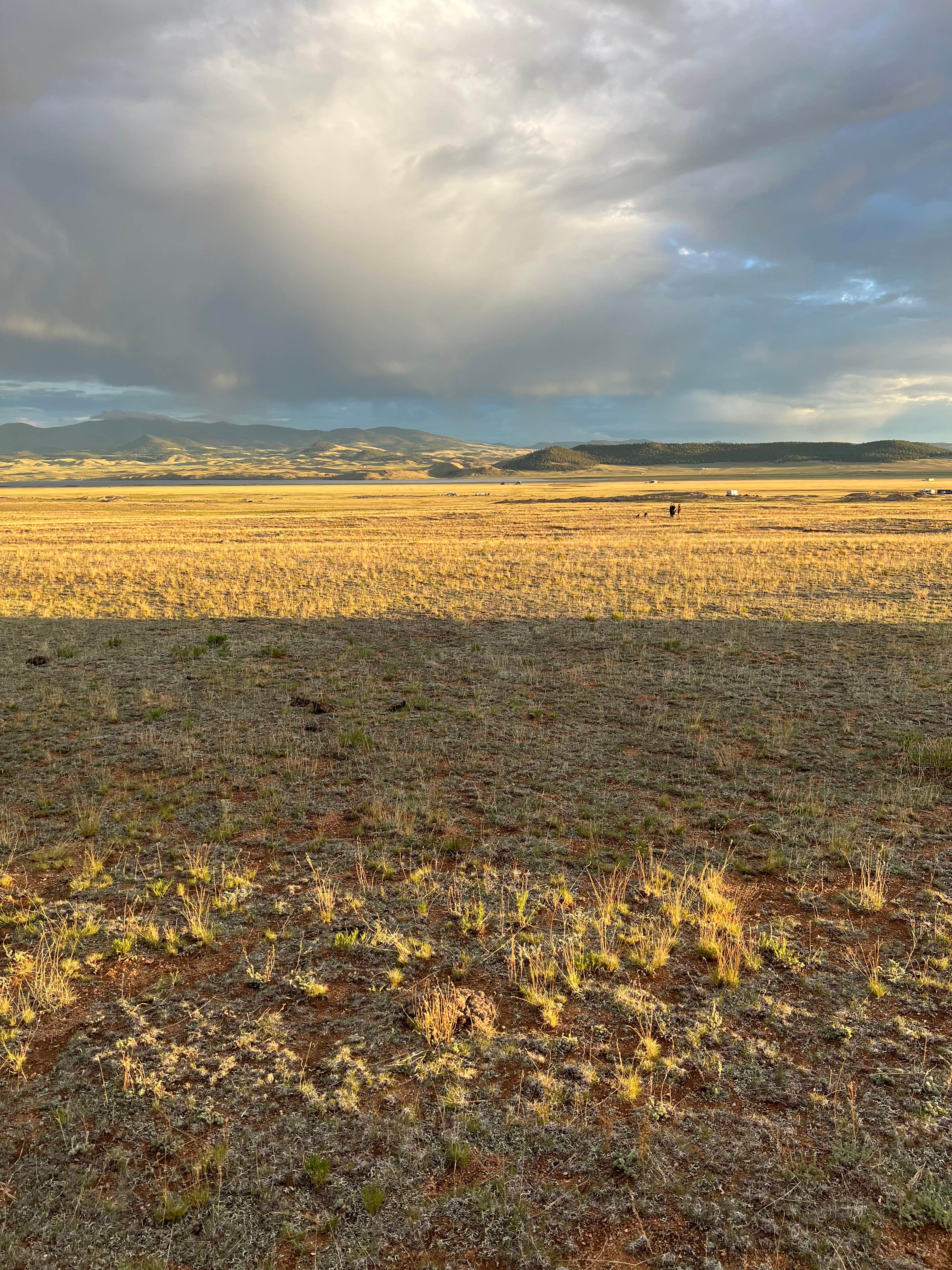 Camping near Rocky Ridge Camground — Eleven Mile State Park: Sakach Smith campground, Lake George, Colorado