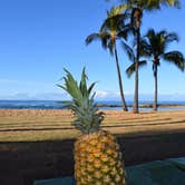 Review photo of Salt Pond Beach Park by Melissa N., July 17, 2018