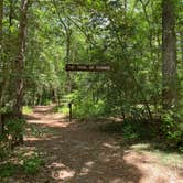 Review photo of Shad Landing Campground by Chuck W., July 5, 2022