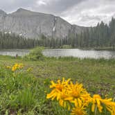 Review photo of Alta Lakes Campground (Dispersed) by Sahmon F., July 4, 2022