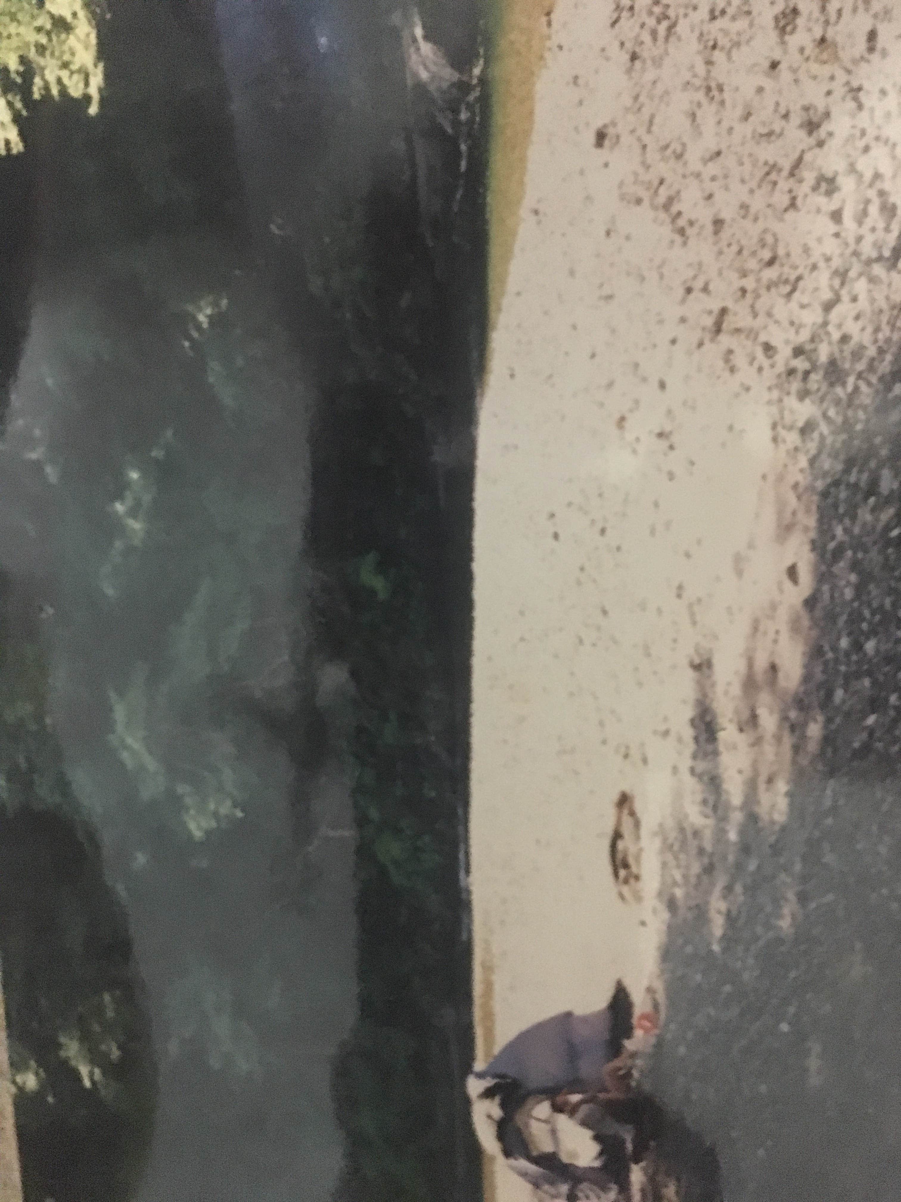 Camping near The House of 13 Rainbows: Malakoff Diggins State Historic Park Campground, Washington, California