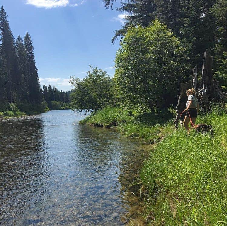 Camper submitted image from Whitetail Campground - 2