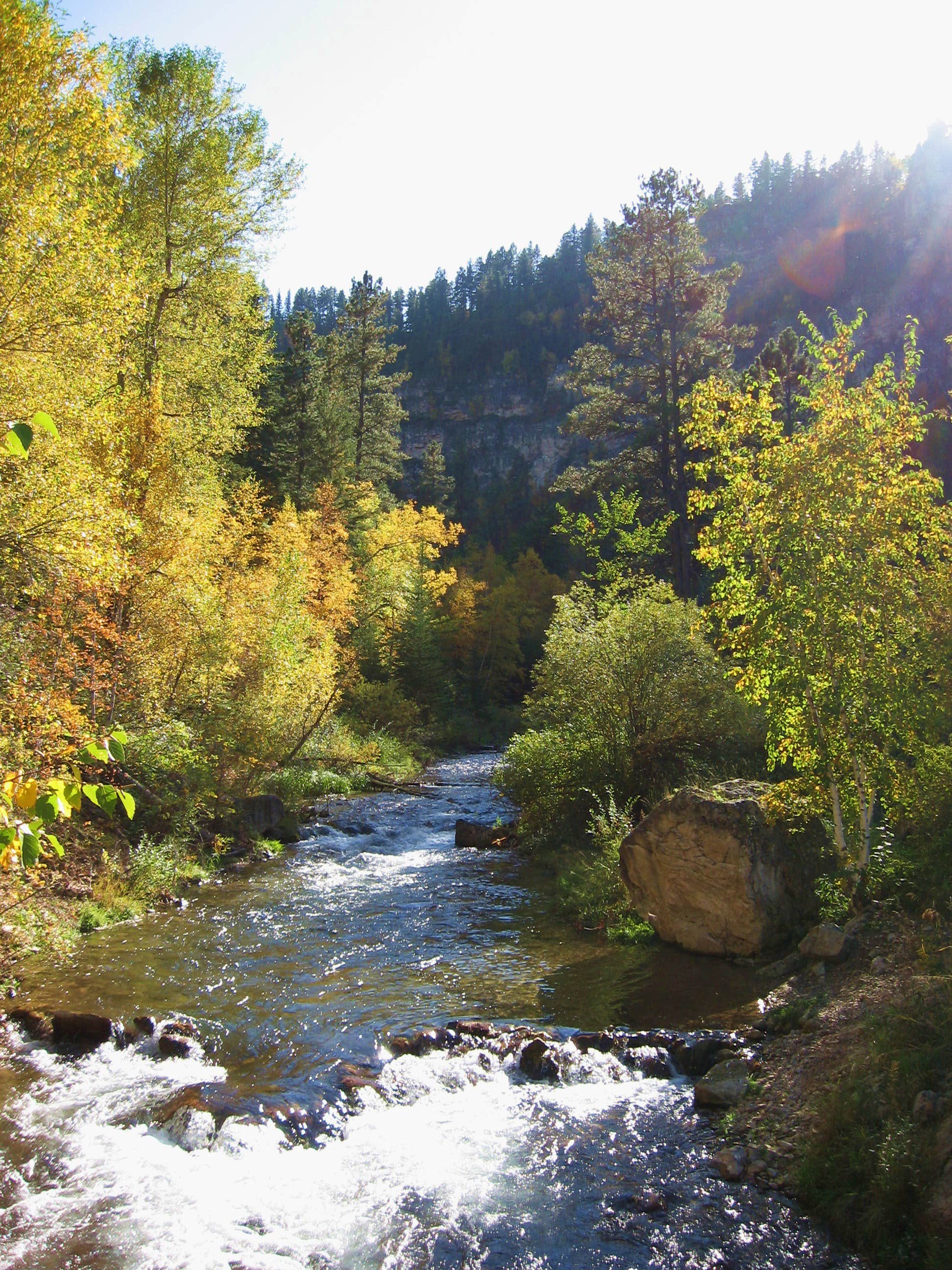 Camper-submitted photo at Spearfish City Campground in South Dakota