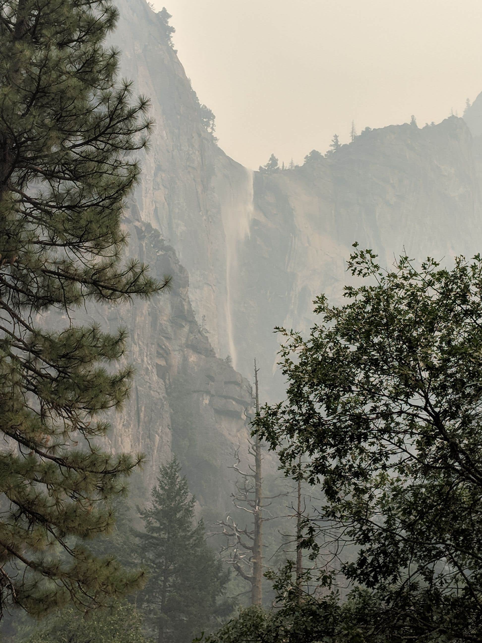 Camper-submitted photo at Curry Village — Yosemite National Park near Wawona, CA