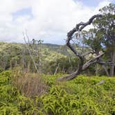 Review photo of Kōkeʻe State Park Campground by Apryl E., July 17, 2018