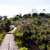 Review photo of Kōkeʻe State Park Campground by Apryl E., July 17, 2018