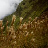 Review photo of Kōkeʻe State Park Campground by Apryl E., July 17, 2018