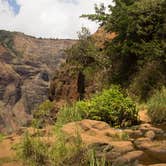 Review photo of Koaie Primitive - Kokee State Park - Kauai by Apryl E., July 17, 2018