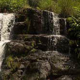 Review photo of Koaie Primitive - Kokee State Park - Kauai by Apryl E., July 17, 2018