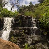 Review photo of Koaie Primitive - Kokee State Park - Kauai by Apryl E., July 17, 2018