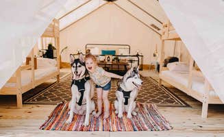 The Dyrt's photo of camping with pets at Timberline Glamping @ Lake Lanier near Duluth, GA