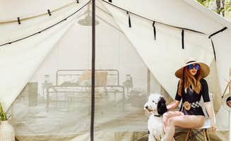 The Dyrt's photo at Timberline Glamping @ Lake Lanier near Snellville, GA