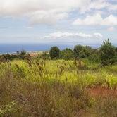 Review photo of Koaie Primitive - Kokee State Park - Kauai by Apryl E., July 17, 2018