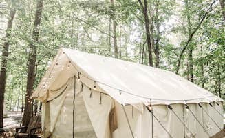 The Dyrt's photo at Timberline Glamping @ Lake Lanier near Cumming, GA