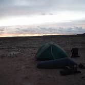 Review photo of Petrified Forest National Wilderness Area — Petrified Forest National Park by Mara F., July 17, 2018