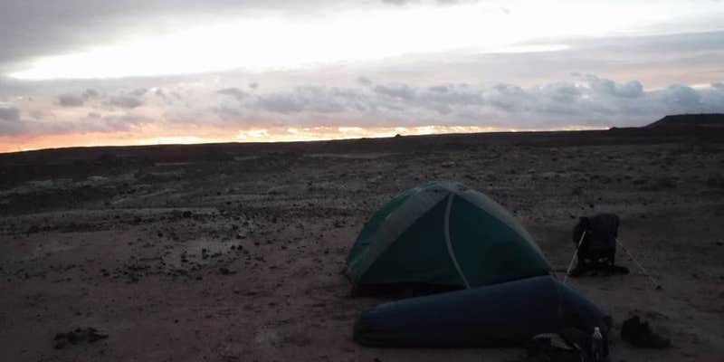 Camper submitted image from Petrified Forest National Wilderness Area — Petrified Forest National Park