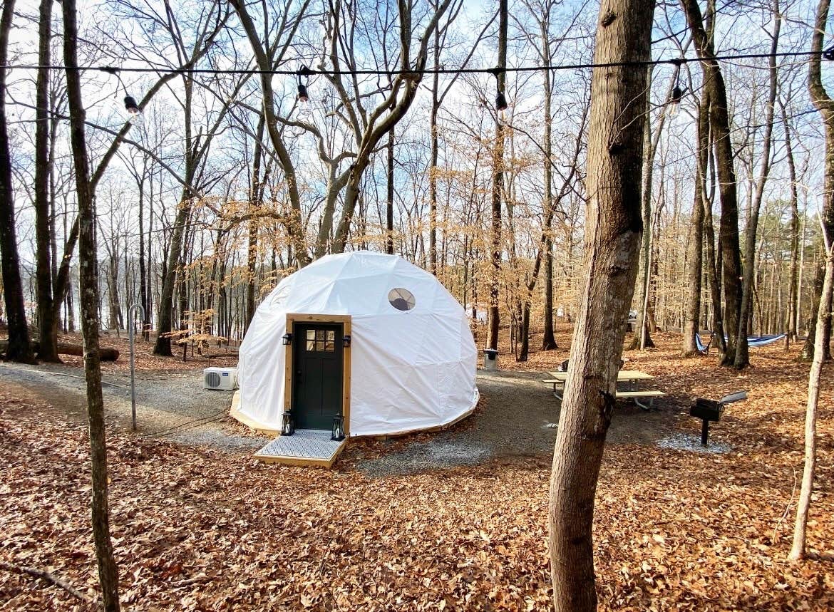 The Dyrt's photo at Timberline Glamping @ Lake Lanier near Duluth, GA