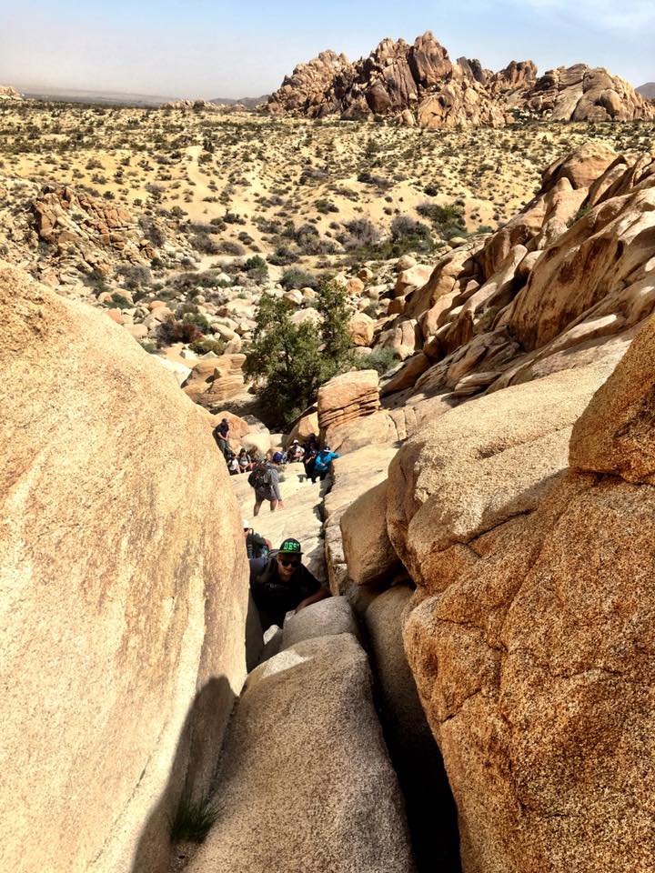 Camper submitted image from Indian Cove Campground — Joshua Tree National Park - 2