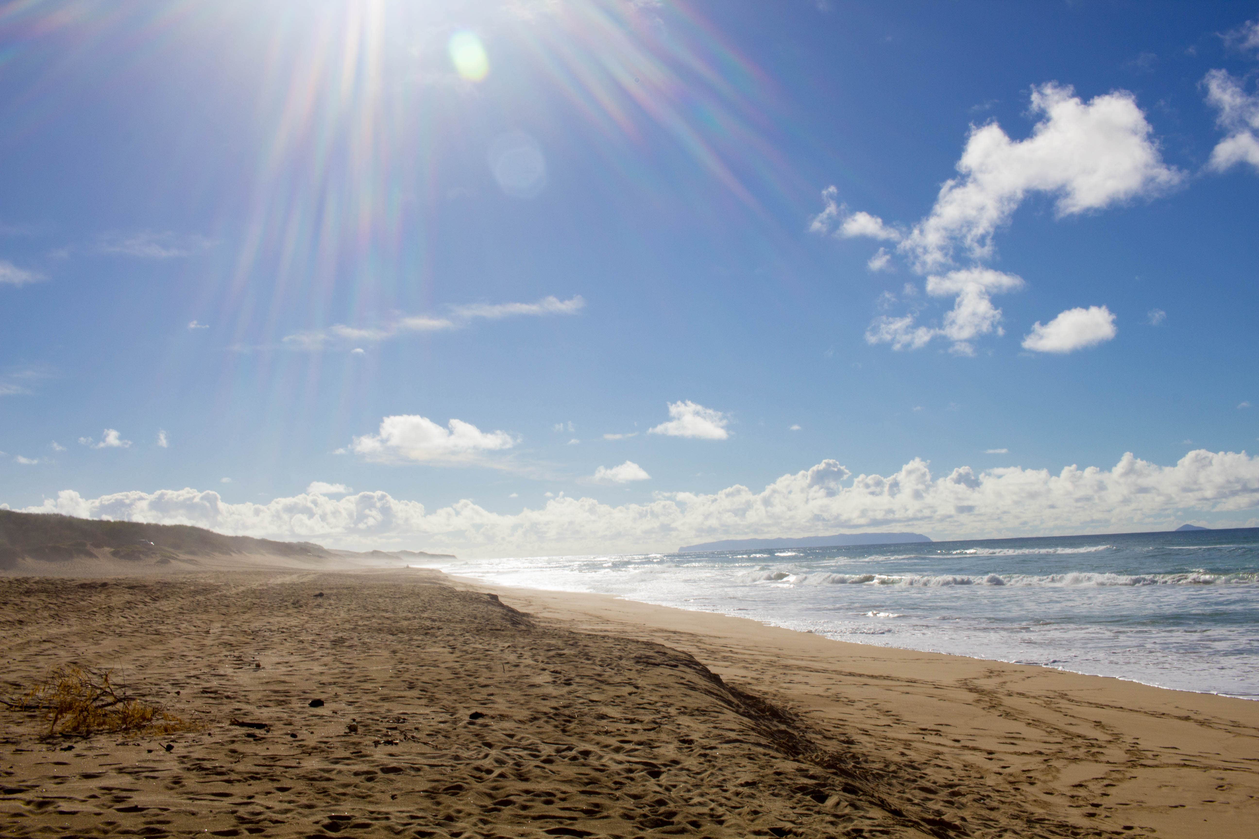 Camper-submitted photo at Polihale State Park Campground in Hawaii