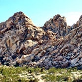 Review photo of Indian Cove Campground — Joshua Tree National Park by Hayley K., July 26, 2016