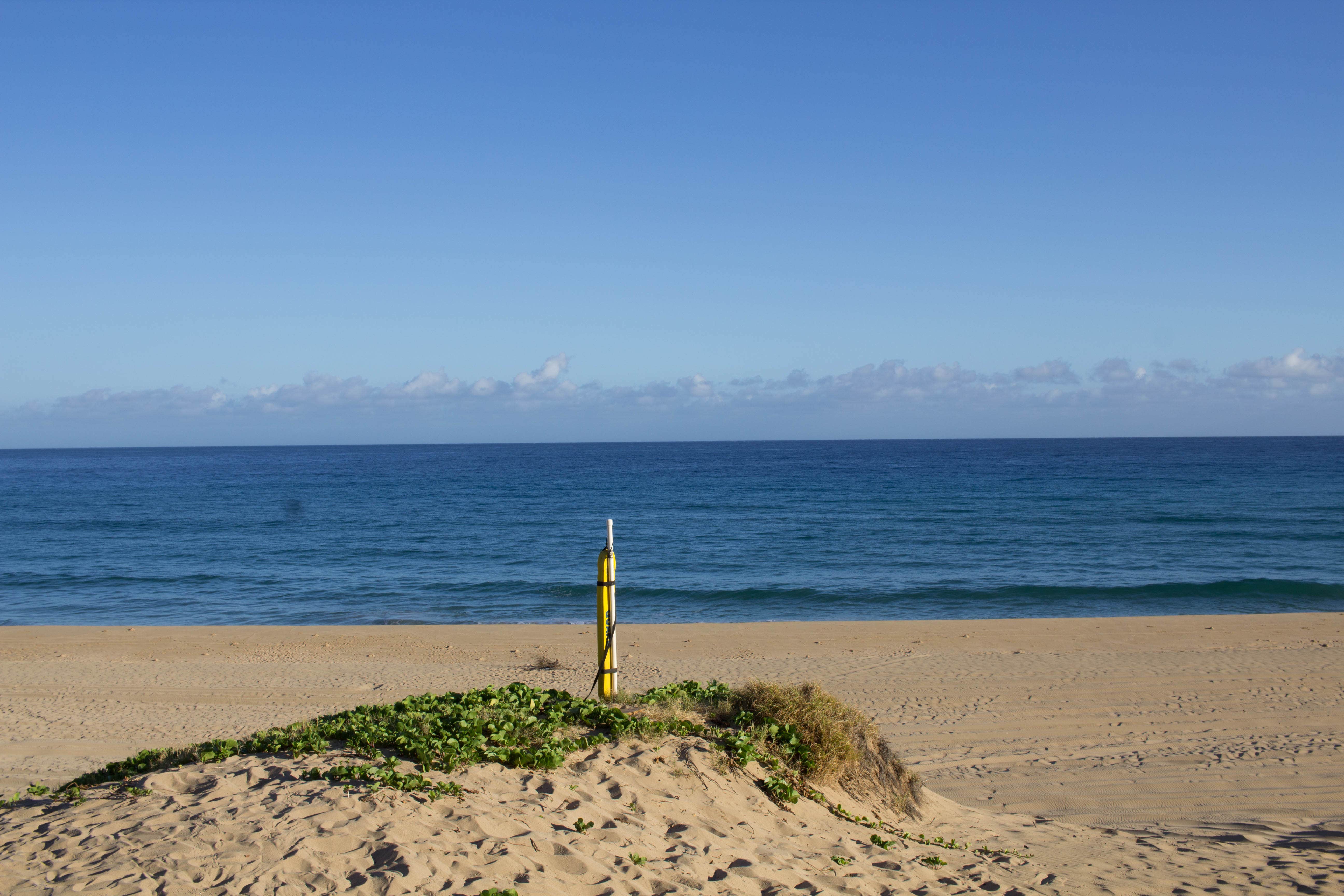 Camper-submitted photo at Polihale State Park Campground in Hawaii