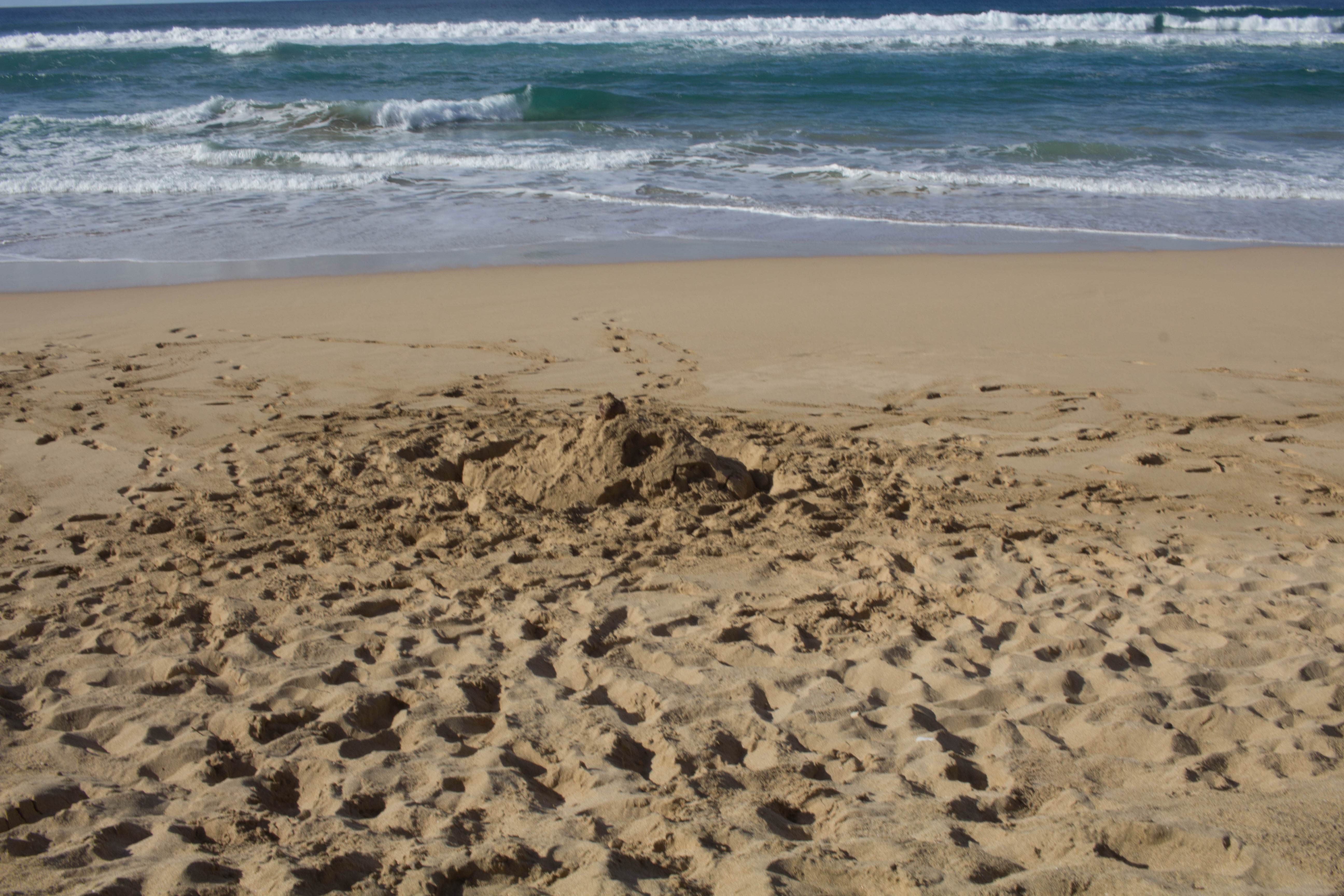 Camper-submitted photo at Polihale State Park Campground in Hawaii