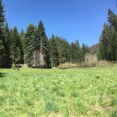 Review photo of Sequoia National Forest Quaking Aspen Campground by Hayley K., July 26, 2016
