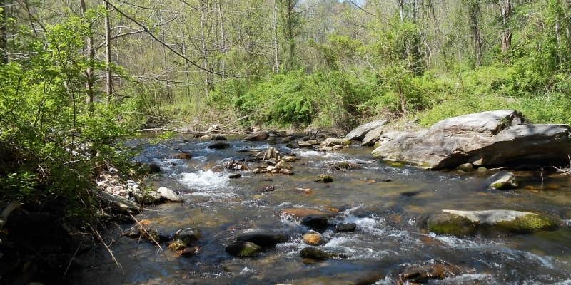 Camper submitted image from Mountain Stream RV Park