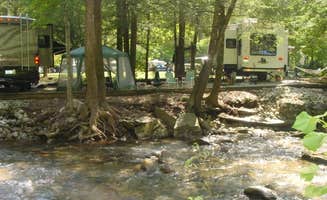 The Dyrt's photo at Mountain Stream RV Park near Pisgah National Forest