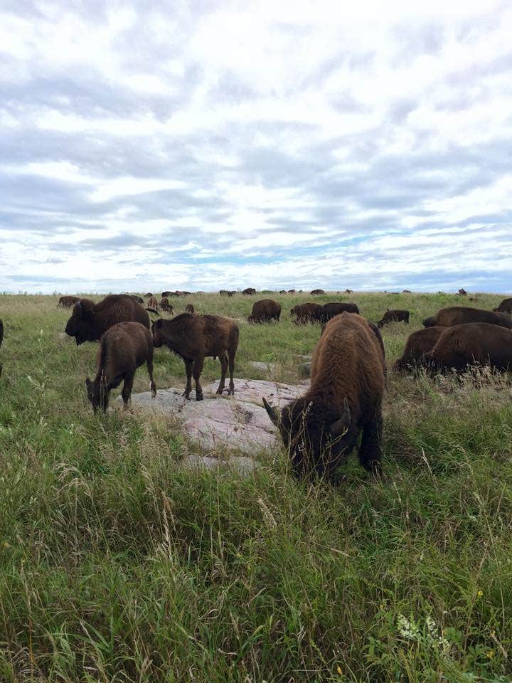 Camper-submitted photo at Blue Mounds State Park Campground in Minnesota