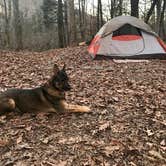Review photo of Redding Campground by Shona H., July 17, 2018