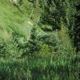 Review photo of East Boulder Campground by Rob F., July 17, 2018