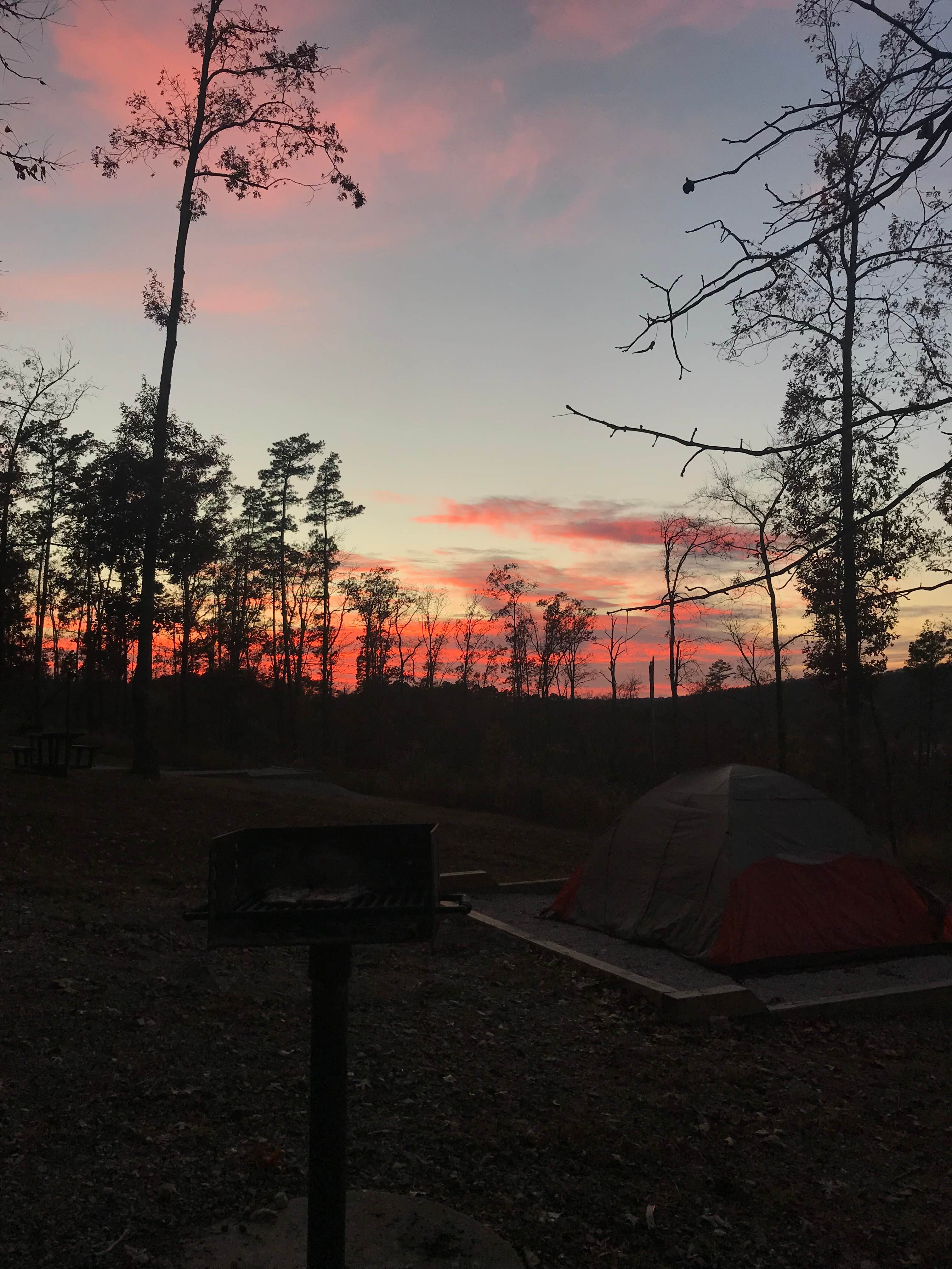 Shona H.'s photo at Lake Ouachita State Park Campground near Hot Springs, AR