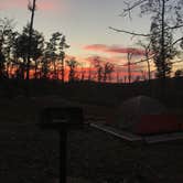 Review photo of Lake Ouachita State Park Campground by Shona H., July 17, 2018