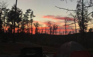 Shona H.'s photo at Lake Ouachita State Park Campground near Hot Springs, AR
