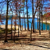 Review photo of Lake Ouachita State Park Campground by Shona H., July 17, 2018