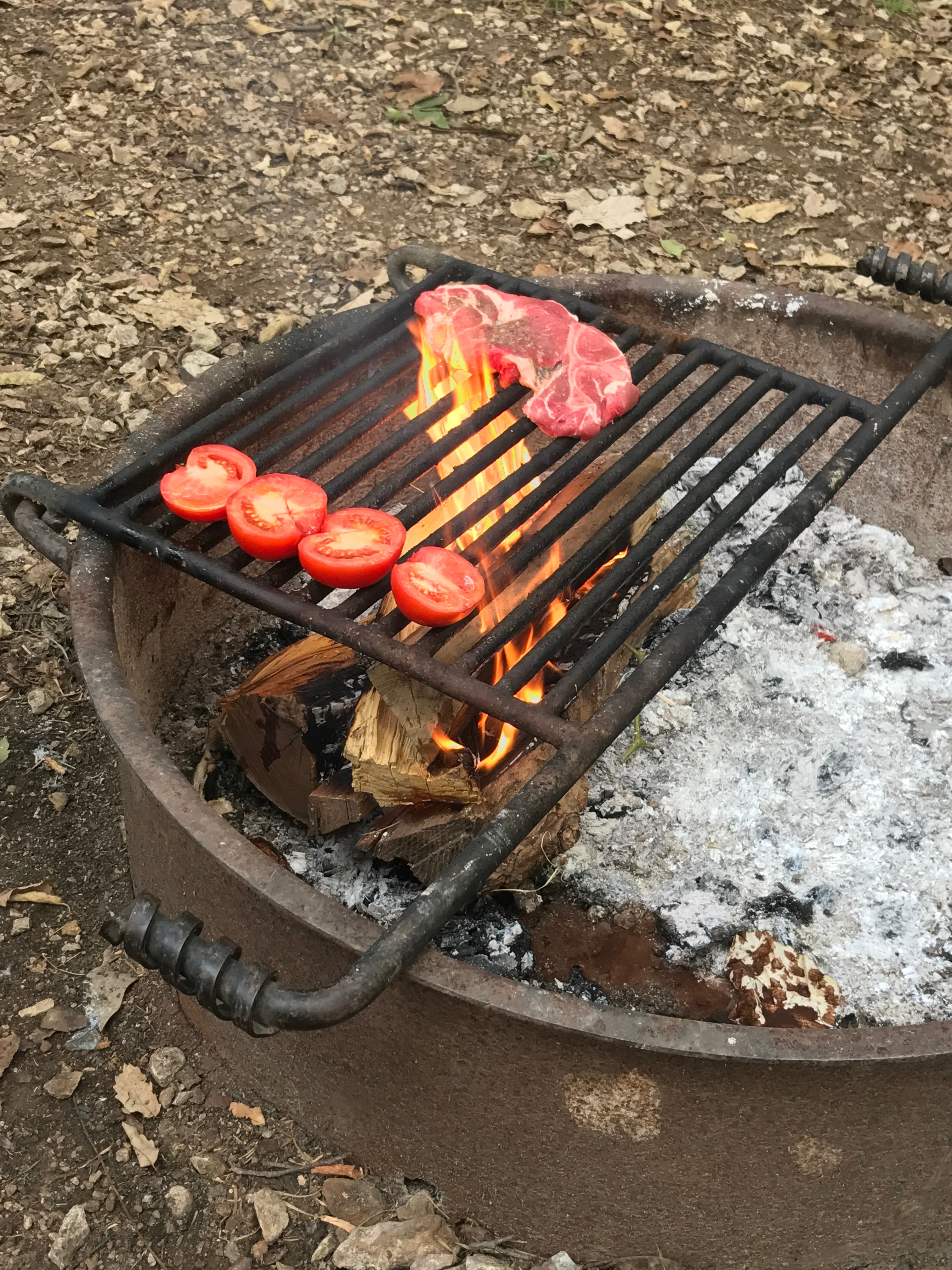 Open fire cooking 