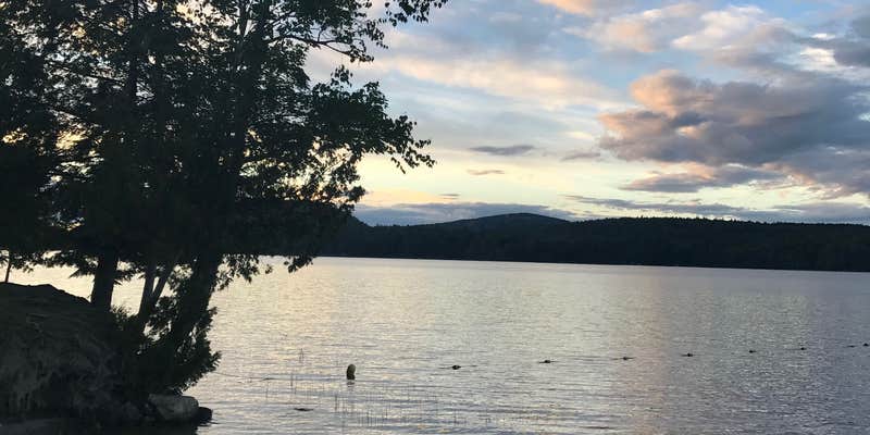 Camper submitted image from Balsam Cove Campground