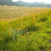 Review photo of Elk Mountain Campground — Wind Cave National Park by Krista T., July 17, 2018