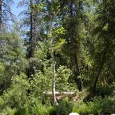 Review photo of Ponderosa Campground by Katie H., July 17, 2018