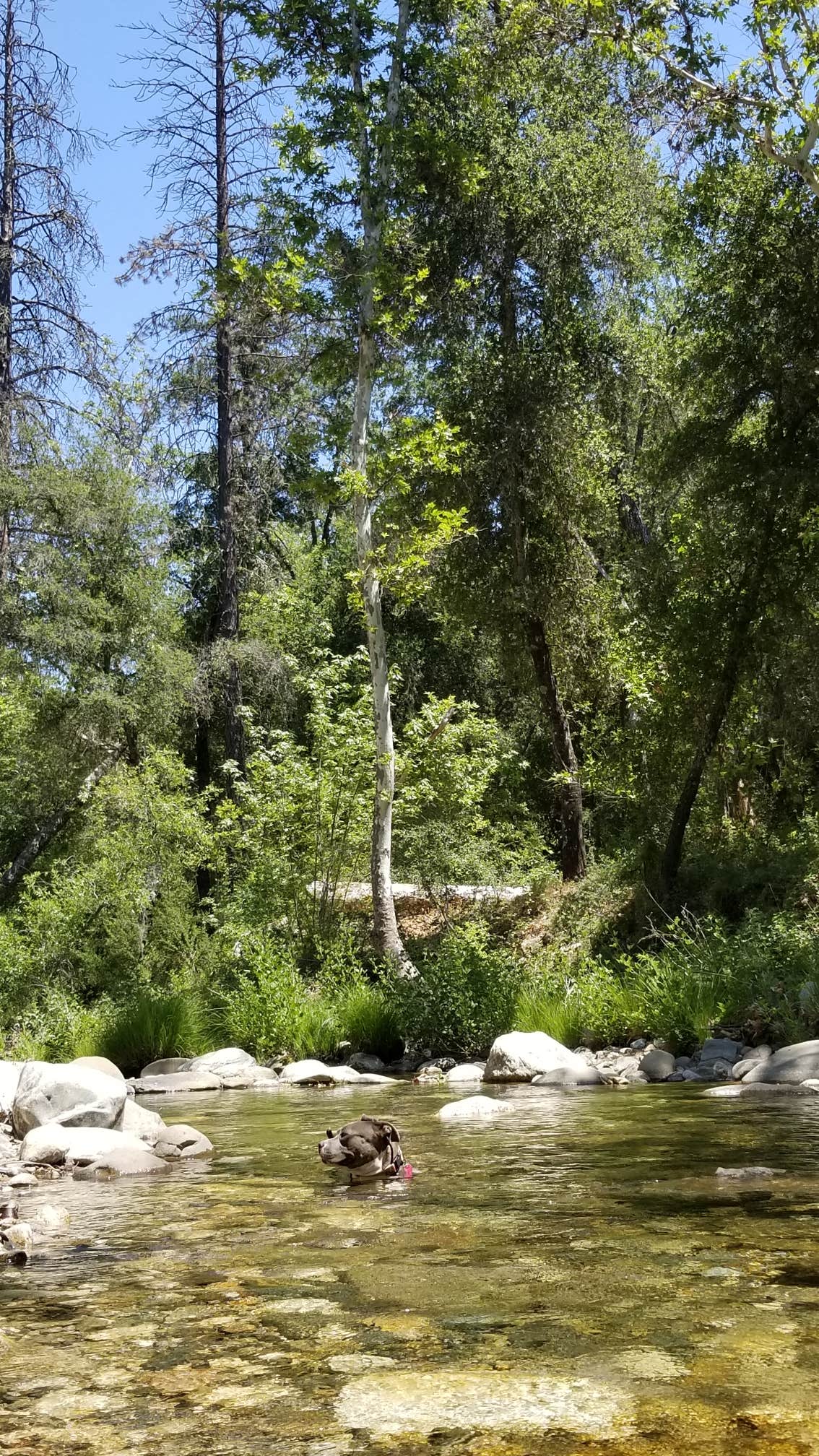 Water