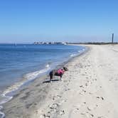 Review photo of Fiddlers Cove RV Park by Katie H., July 17, 2018