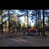 Review photo of Jemez Falls Campground by Lindsay F., July 17, 2018