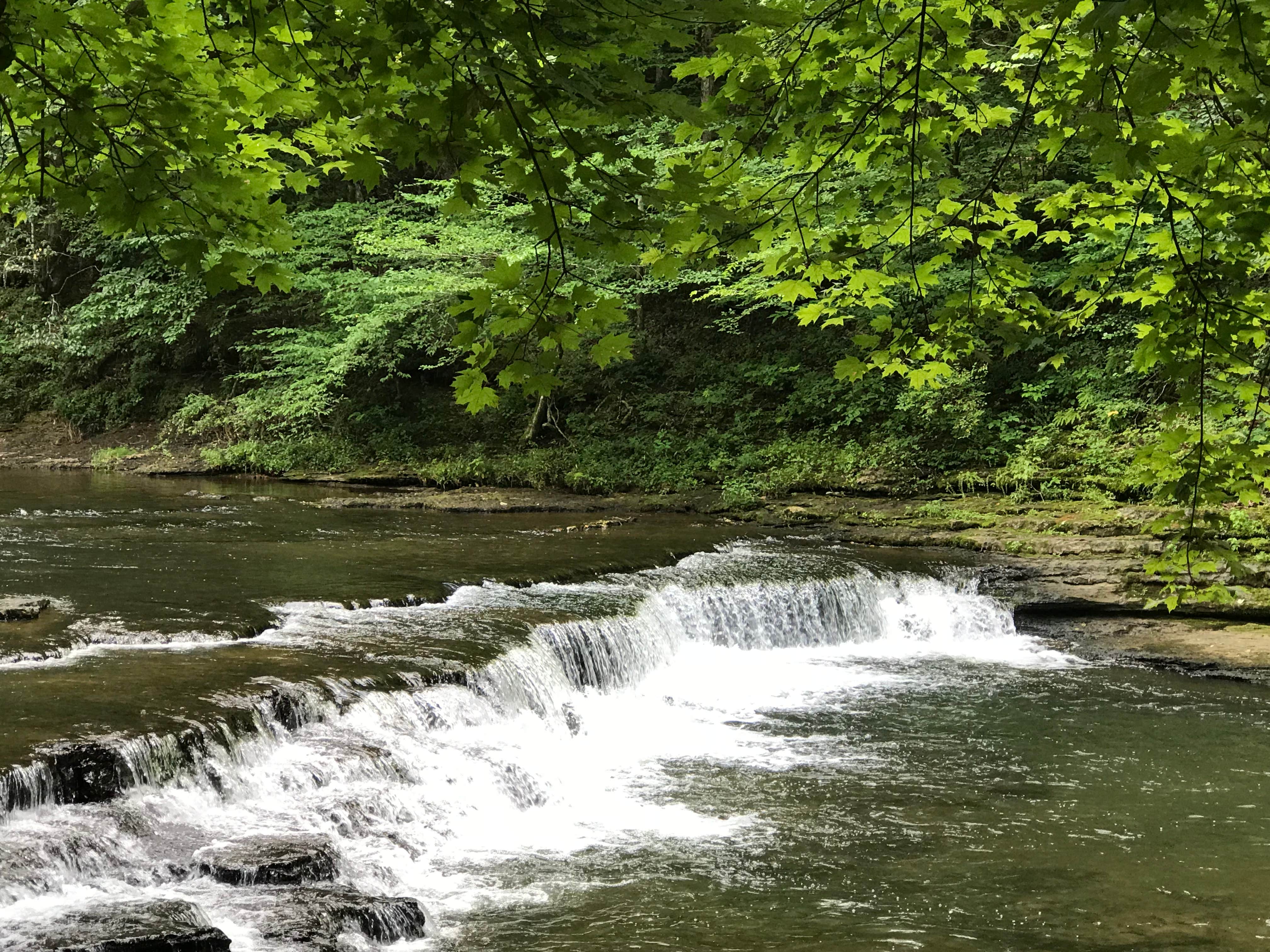 Camper submitted image from David Crockett State Park Campground - 2