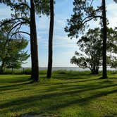 Review photo of Meaher State Park Campground by Lisa B., July 17, 2018